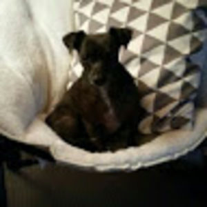 Meet your Posher, Kelli